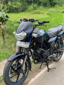 Bajaj Discover 135 2008 for Sale