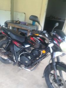 Bajaj Pulsar 135 2009 for Sale