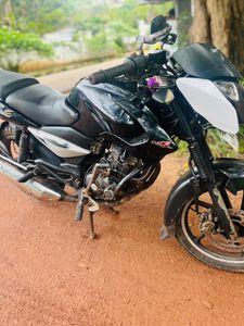 Bajaj Pulsar 135 2010 for Sale