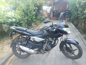 Bajaj Pulsar 135 2010 for Sale