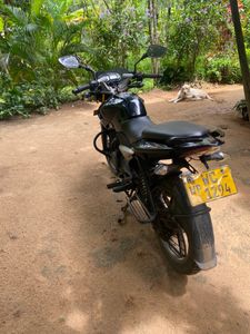 Bajaj Pulsar 135 2010 for Sale