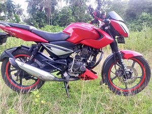 Bajaj Pulsar 135 2010 for Sale
