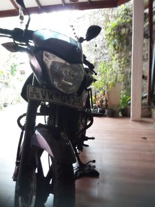 Bajaj Pulsar 135 2010 for Sale