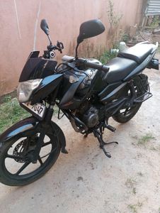 Bajaj Pulsar 135 2011 for Sale