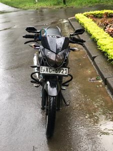 Bajaj Pulsar 135 2011 for Sale