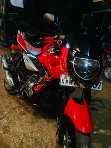 Bajaj Pulsar 135 2011 for Sale