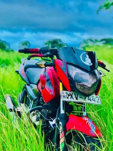 Bajaj Pulsar 135 2012 for Sale
