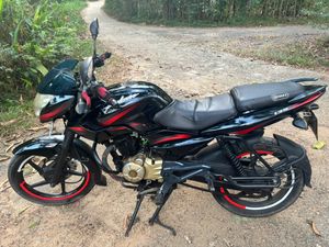 Bajaj Pulsar 135 2013 for Sale
