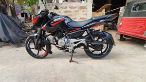 Bajaj Pulsar 135 2013 for Sale