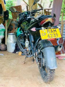 Bajaj Pulsar 135 2014 for Sale Bajaj Pulsar 135 2014 for Sale