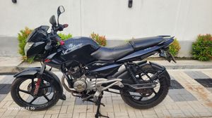 Bajaj Pulsar 135 2014 for Sale