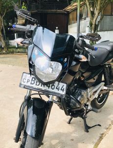Bajaj Pulsar 135 2014 for Sale
