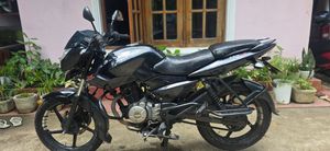 Bajaj Pulsar 135 2014 for Sale