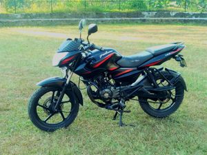 Bajaj Pulsar 135 2014 for Sale