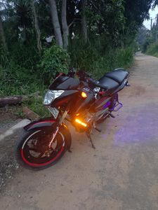 Bajaj Pulsar 135 2014 for Sale