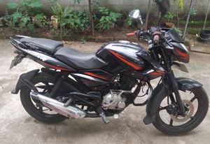 Bajaj Pulsar 135 2015 for Sale