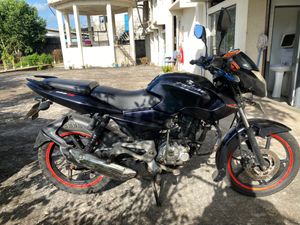 Bajaj Pulsar 135 2015 for Sale