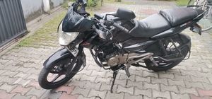 Bajaj Pulsar 135 2015 for Sale