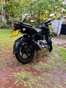 Bajaj Pulsar 135 2015 for Sale