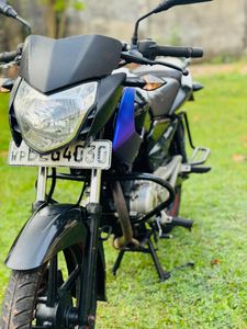 Bajaj Pulsar 135 2016 for Sale
