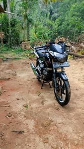 Bajaj Pulsar 135 2016 for Sale