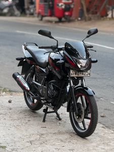 Bajaj Pulsar 135 2016 for Sale