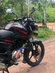 Bajaj Pulsar 135 2017 for Sale