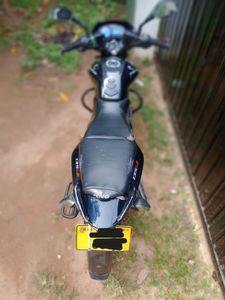 Bajaj Pulsar 135 2017 for Sale Bajaj Pulsar 135 2017 for Sale