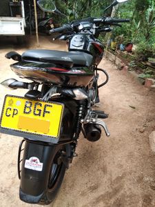 Bajaj Pulsar 135 2017 for Sale