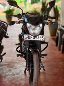 Bajaj Pulsar 135 2017 for Sale