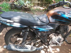 Bajaj Pulsar 135 2008 for Sale
