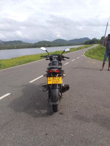 Bajaj Pulsar 135 2016 for Sale
