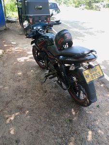 Bajaj Pulsar 135 2019 for Sale