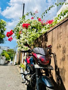 Bajaj Pulsar 135 LS 2014 for Sale