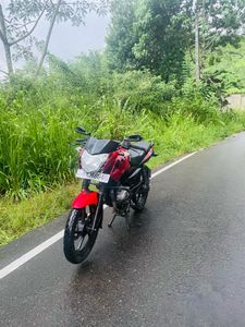 Bajaj Pulsar 135 2015 for Sale