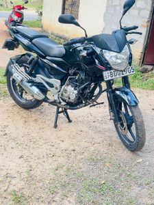 Bajaj Pulsar 135 2015 for Sale
