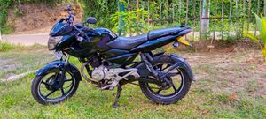 Bajaj Pulsar 135 2015 for Sale