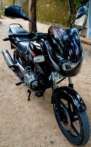 Bajaj Pulsar 150 2015 for Sale