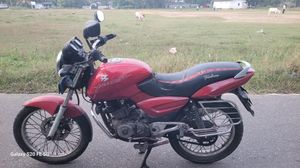 Bajaj Pulsar 150 2004 for Sale