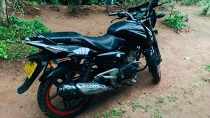 Bajaj Pulsar 150 2004 for Sale Bajaj Pulsar 150 2004 for Sale