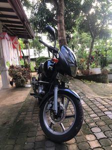 Bajaj Pulsar 150 2006 for Sale