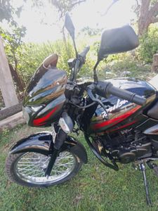 Bajaj Pulsar 150 2007 for Sale