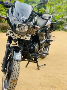 Bajaj Pulsar 150 2009 for Sale