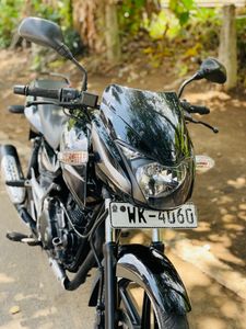 Bajaj Pulsar 150 2009 for Sale