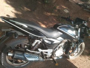 Bajaj Pulsar 150 2009 for Sale
