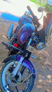 Bajaj Pulsar 150 2009 for Sale