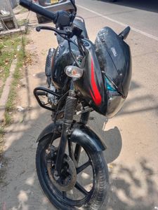 Bajaj Pulsar 150 2010 for Sale