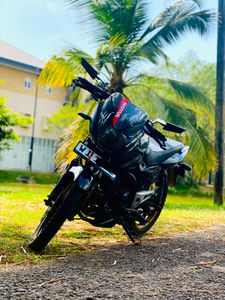 Bajaj Pulsar 150 2010 for Sale
