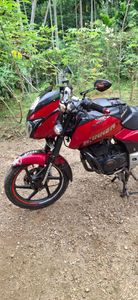 Bajaj Pulsar 150 2010 for Sale