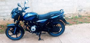 Bajaj Pulsar 150 2010 for Sale